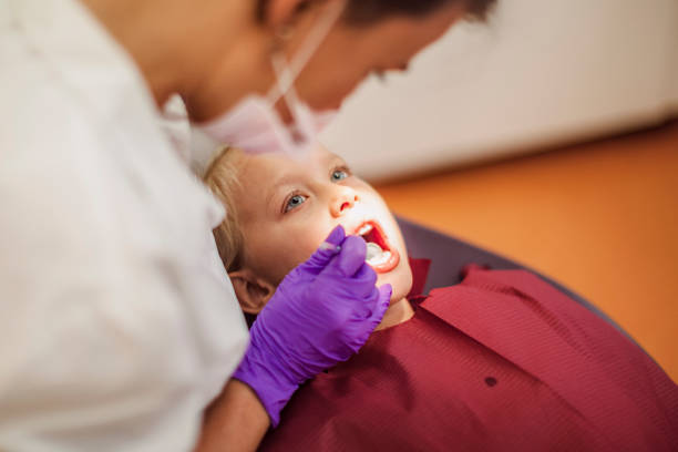 Best Emergency Dentist for Knocked-Out Tooth in Park Falls, WI